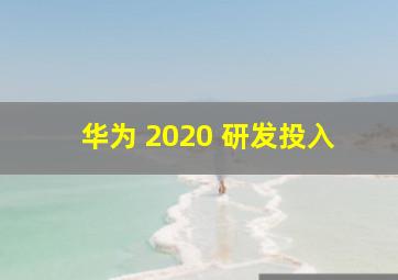 华为 2020 研发投入